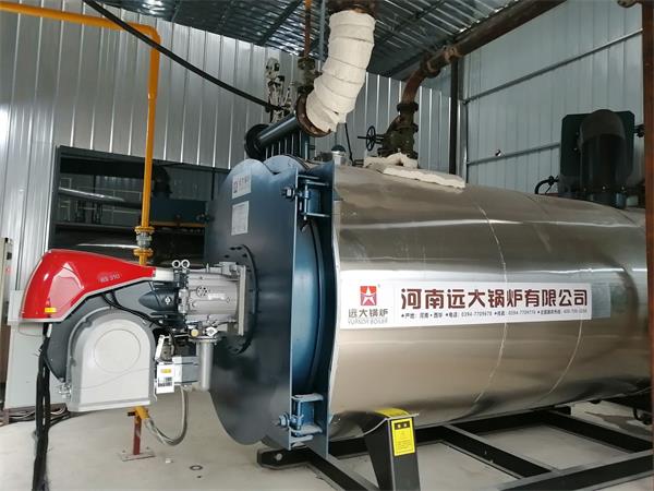 江西橡塑公司3噸燃氣導熱油鍋爐項目